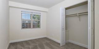 Stevens Walk Gallery 16