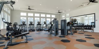 The Mason Fremaux Park Gallery 17