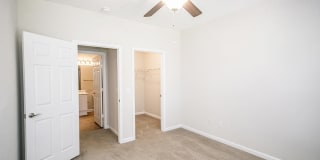 Pine Lake Gallery 41