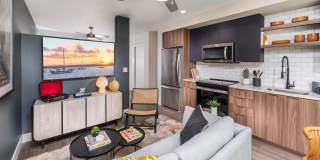 Skylar Grand Gallery 1