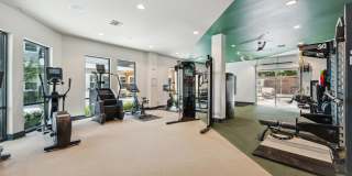 The Albright Gallery 24