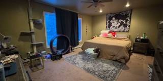 4 Bedroom, 2 Bath, 1 Car Garage home in the middle of town. Gallery 8