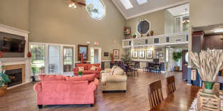 TimberLake Gallery 18