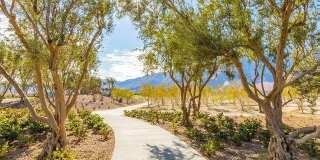 3534 Ambassador Drive Gallery 37