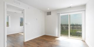 Graduate Pointe Gallery 37