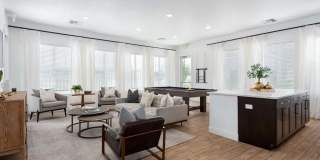 Gladstone Place Gallery 8