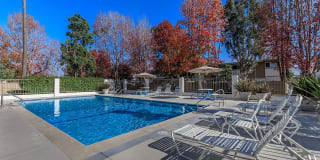 Sea Breeze Rental Townhomes Gallery 3