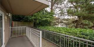 Sunny 1 bed 1 bath condo in Fremont Gallery 14