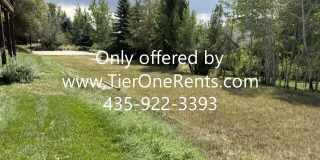 3587 Wrangler Way Gallery 28