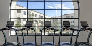 Vineyards Gallery 73