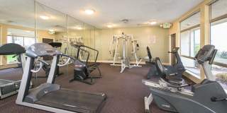 Santa Teresa Gallery 10