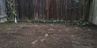 320 25th Avenue South Gallery 11