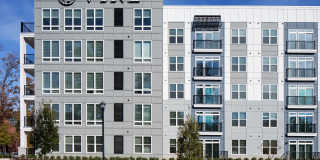 Vine North Hills Gallery 35