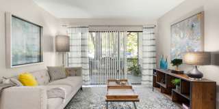 Emerald Palms Gallery 6