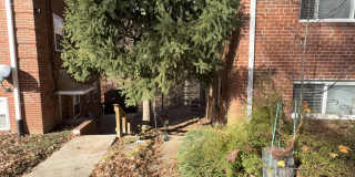 8316 Roanoke Avenue - 1Unit 1 8316 Roanoke Avenue - 1Unit 1 Gallery 2