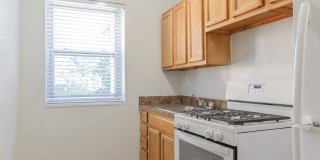 Northwood Gardens Gallery 6