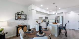 Mosaic Palms Gallery 13