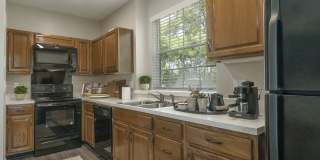 Sabal Park Apartments Gallery 19