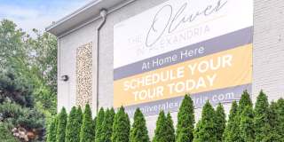 The Oliver in Alexandria Gallery 8