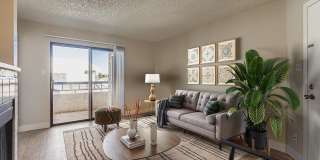 Rise on Cactus Gallery 91