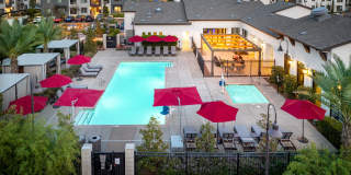 The Strand Gallery 22