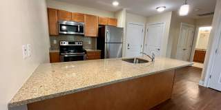 The Springs Gallery 45