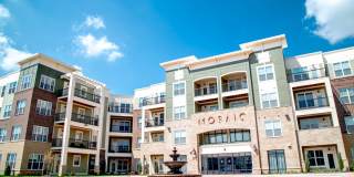 Mosaic at Levis Commons Gallery 28