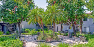 Five Coves Apartment Homes Gallery 8