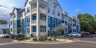 Arboretum West Gallery 25