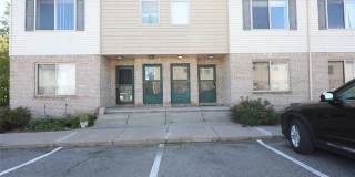 19 EDEN PARK Gallery 1