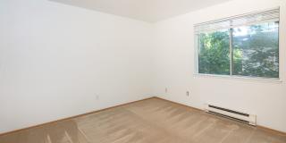 Cedar Park 8 Gallery 20