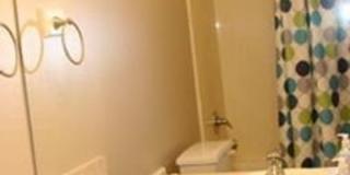 Beautiful 6 Bed 3 bath in Springville!! Gallery 12