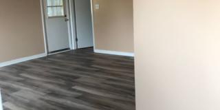 Beautiful 3BD/2B Home with Spacious Outdoor Living Gallery 5