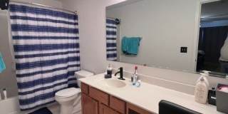 1429 Meadowsedge Lane Gallery 20
