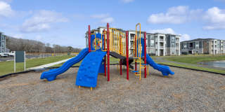 Ascend Pinegrove Gallery 1