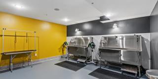 The Fox & The Grouse Gallery 71