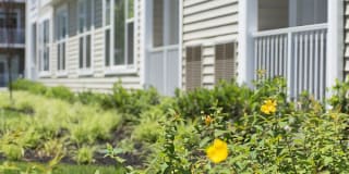 Woodmont Knolls Gallery 10