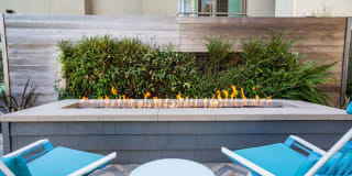 Olympus Corsair Gallery 76