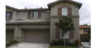 22350 Blue Lupine Gallery 1