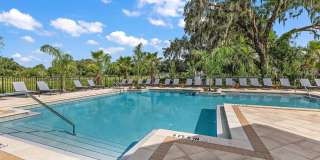 Magnolia at Powell Gallery 54