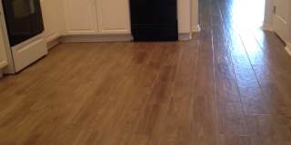 15702 Fishhawk Falls Dr Gallery 11