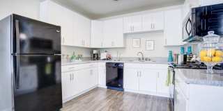 Metro 5514 Gallery 16