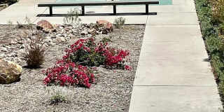 788 Pinetree Cir Apt 13 788 Pinetree Cir Apt 13 Gallery 1