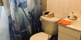 1032 Curran Street Gallery 18