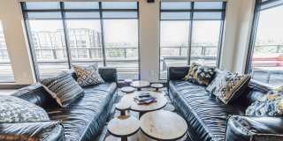 The Griff Gallery 20