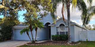 New Listing in Land O'Lakes Gallery 1