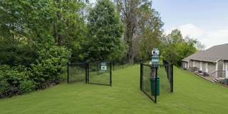 Axis on Roan Gallery 12