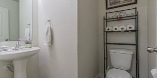 2831 Lavender Gallery 14