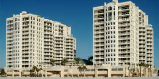 10 PAPAYA STREET Gallery 2