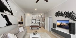 AMLI Buckhead Gallery 34
